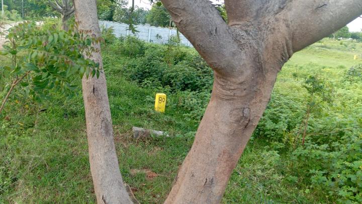 Shathabdhi valley Main Image 1