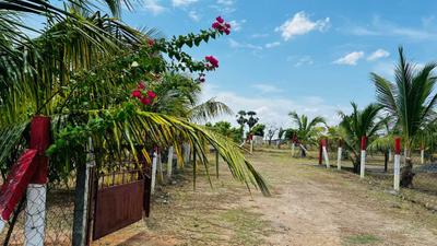 Image of 1000 Sq.ft Residential Plot / Land for sale in Vennangupattu, Chennai for Rs. 1980000