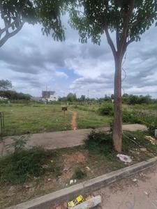 BVL Premio Phase 1 Plot View 3