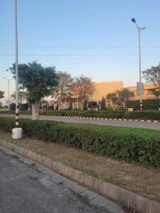 Image of 2250 Sq.ft Residential Plot / Land for sale in Alpha Alpha International City, Alpha International City, Karnal for Rs. 23400000