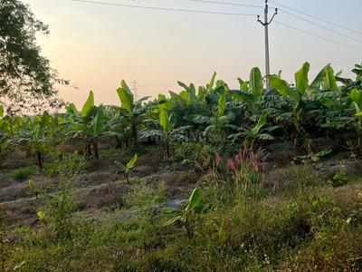 Image of 10000 Sq.ft Residential Plot / Land for sale in Datrenga, Raipur for Rs. 4450000