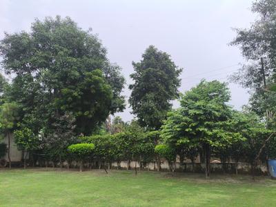 Image of 18144 Sq.ft 2 BHK Farm House for sale in DPL Flora Farms, Nagli Bahrampur, Noida for Rs. 18000000