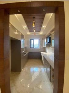 Hall Image of 1500 Sq.ft 3 BHK Builder Floor for sale in Ridhi Homes Greenfield, Green Field Colony Faridabad for Rs. 8000000