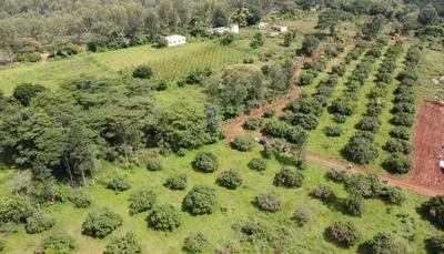 Image of 10890 Sq.ft Residential Plot / Land for sale in Anekal, Bengaluru for Rs. 9000000