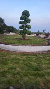 Image of 1600 Sq.ft 3 BHK Duplex for sale in Panduru, Kakinada for Rs. 8900000