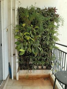 Balcony Image of 1250 Sq.ft 3 BHK Apartment / Flat for rent in Godrej Rejuve, Keshav Nagar Pune for Rs. 50000