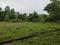 Jonnada Main Image 1