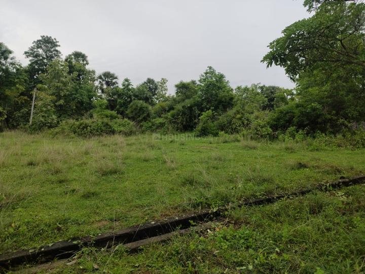 Jonnada Main Image 1