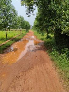 Image of 1250 Sq.ft Residential Plot / Land for sale in Phulnakhara, Cuttack for Rs. 3875000