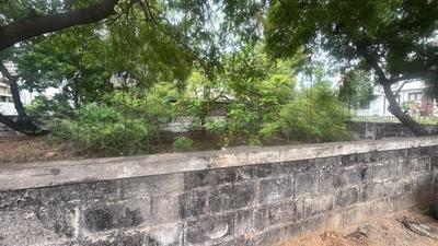 VGP Uthandi Layout Plot View 1