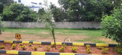 7th Phase Plot View 3