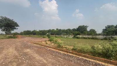 Novelty Green Plot Plot View 2