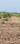 Walajabad Plot View 2
