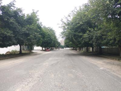 Residential Plot