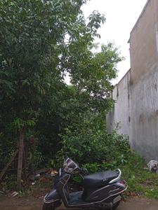 Samardha Village Plot View 2