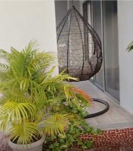 Bedroom Image of 3391 Sq.ft 5 BHK Penthouse for sale in Swati Parkside, Shela Ahmedabad for Rs. 28500000
