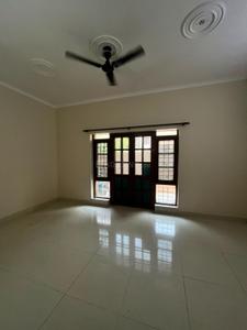 Hall Image of 1265 Sq.ft 2 BHK Builder Floor for rent in Sector 50 Noida for Rs. 30000