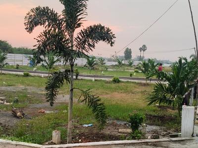 Residential Plot
