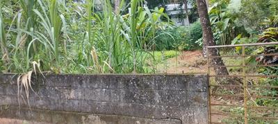 Image of 5880 Sq.ft Residential Plot / Land for sale in Viyyoor, Thrissur for Rs. 9585000