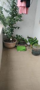 Balcony Image of 780 Sq.ft 1 BHK Apartment / Flat for sale in Shirur Pune for Rs. 2100000
