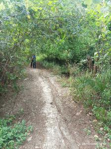 Umroli Plot View 2