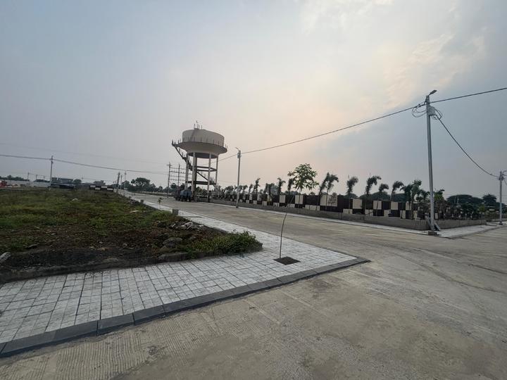 Graceland Highway Serene 2 Main Image 1