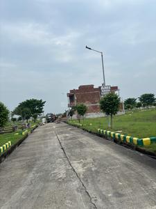 Ami greens Plot View 2