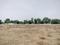 Tajupur Plot View 2