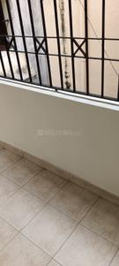 Balcony Image of 1560 Sq.ft 3 BHK Apartment / Flat for rent in ARRR Velachery, Velachery Chennai for Rs. 35000