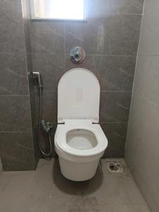 Common Bathroom Image of 800 Sq.ft 2 BHK Apartment / Flat for rent in Prithvi Proximus, Hadapsar Pune for Rs. 30000