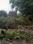 Phi III Greater Noida Main Image 1
