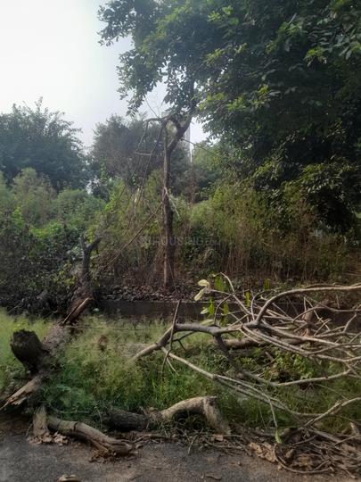 Phi III Greater Noida Main Image 1