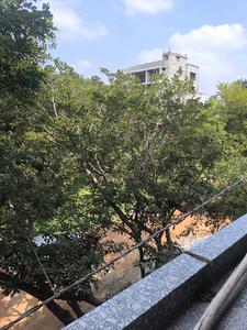 Bedroom Five Image of 3150 Sq.ft 5 BHK Apartment / Flat for sale in Talaghattapura Bengaluru for Rs. 29000070