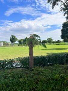 Image of 150 Sq.ft Residential Plot / Land for sale in New Chandigarh, Chandigarh for Rs. 21000000
