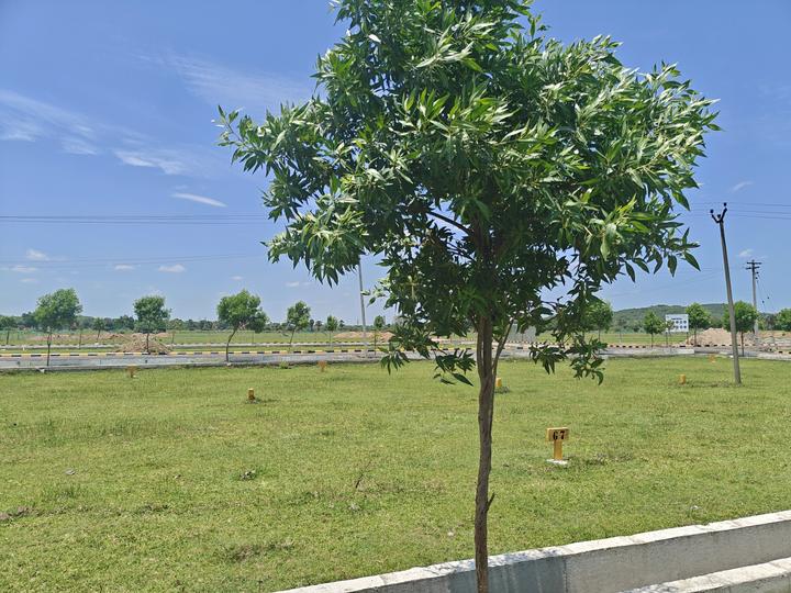 Urapakkam Main Image 1