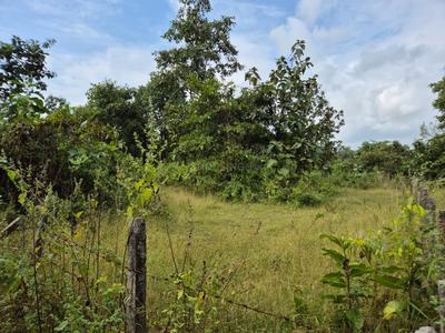 Image of 43560 Sq.ft Residential Plot / Land for sale in Shahapur, Thane for Rs. 2600000
