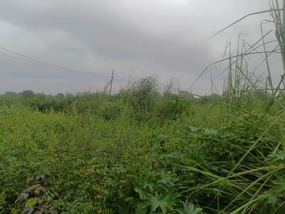 Image of 60 Sq.ft Residential Plot / Land for sale in Sector 35 Rohini, New Delhi for Rs. 10000000