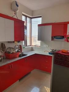 Kitchen Image of 1450 Sq.ft 3 BHK Builder Floor for rent in Sector-26 Rohtak for Rs. 27000