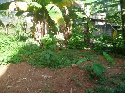 Image of 1600 Sq.ft 4 BHK Independent House for sale in Peroorkada, Thiruvananthapuram for Rs. 6500000