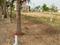 Kuber Park Residency Plot View 2
