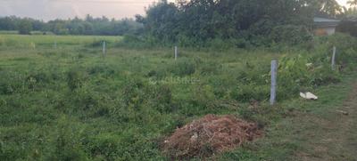 Image of 4356 Sq.ft Residential Plot / Land for sale in Katapady, Udupi for Rs. 2100000