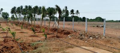 Image of 13000 Sq.ft Residential Plot / Land for sale in Konalai, Tiruchirappalli for Rs. 1250000