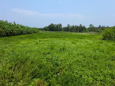 Residential Plot