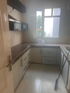 Kitchen Image of 1450 Sq.ft 2 BHK Apartment / Flat for rent in Shalimar Courtyard, Mohibullapur Lucknow for Rs. 22000