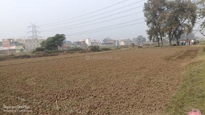 Punpun Plot View 2
