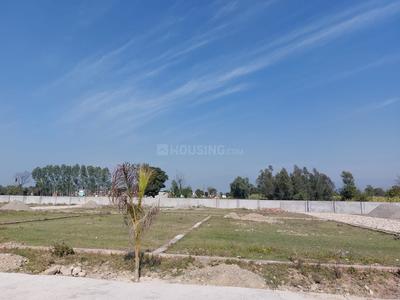 Chharba Plot View 3