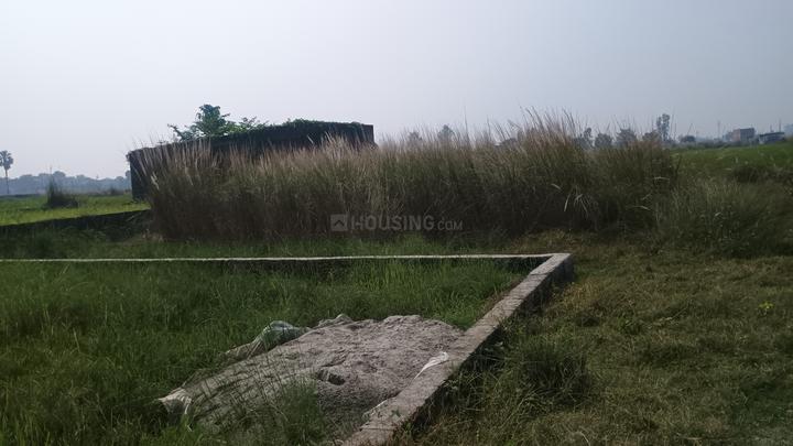 Sarai Gulharia Main Image 1