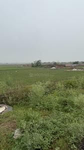 Image of 120 Sq.ft Residential Plot / Land for sale in Sector 145, Noida for Rs. 23400000