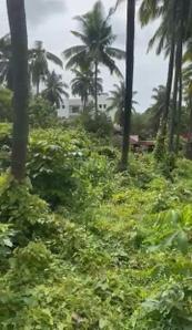 Image of 2025 Sq.ft Residential Plot / Land for sale in Tivim, Goa for Rs. 64800000