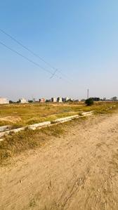 Image of 475 Sq.ft Residential Plot / Land for sale in Altus Space Muirwoods, New Chandigarh, Chandigarh for Rs. 37500000